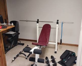 Gold's Gym Weight Bench, Dumbells and Stepper!