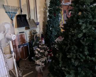 We have about six Christmas trees