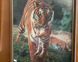 . . . mother tiger and cub