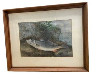 $120 USD     Samuel A. Kilbourne Weakfish Signed Chromo Lithograph EK221-53    Reel in this Samuel A. Kilbourne Weakfish Signed Chromo Lithograph! With a stunning signature and intricate details, this piece is a catch for any art collector. Don't be left "fish"ing for compliments - add it to your collection today!
Dimensions: 31 x 25"H
Condition: Good condition. Matting of framing will need to be replaced.
Local pick up Merrifield, VA.  Contact us for shipper suggestions.     https://goodbyhello.com/products/copy-of-s-morrow-lit-cottage-signed-painting-ek221-52?_pos=20&_sid=2469c3f2f&_ss=r