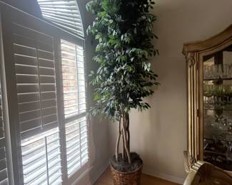 $50 Artificial Ficus Tree Approx 8 ft