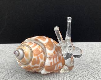Glass Snail in Shell