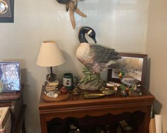 Taxidermy duck