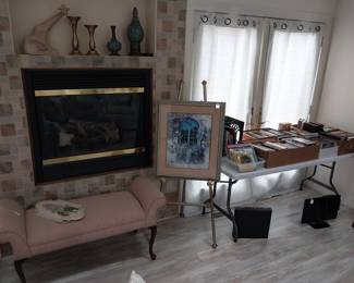 entry bench, books, giraffe