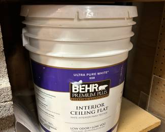 New Behr ceiling flat paint