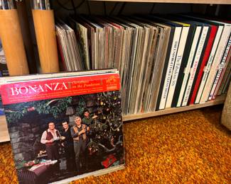 Multiple shelves of 33rpm vinyl records 