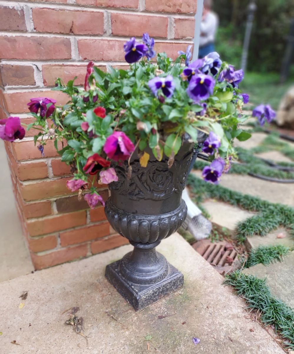 50 OFF! HAVEN ESTATE SALES AT HUGE, ESTIMABLE... starts on 4/17/2024