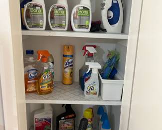 Iron and cleaning items