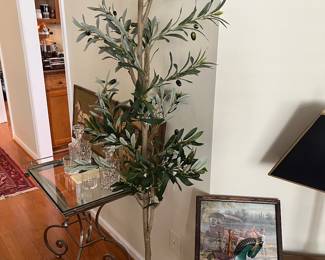 Brand new Olive tree