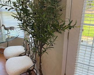 New Olive Tree