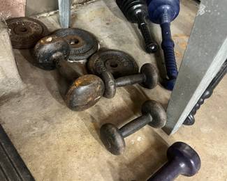msc weights and dumbbells 
