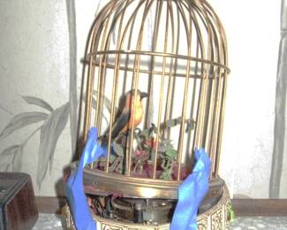 Singing Bird (As is)