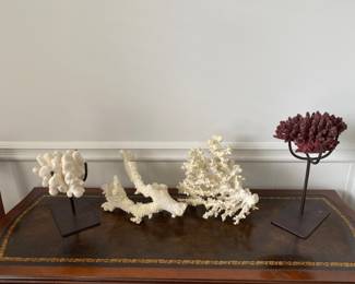 Coral Collection