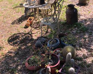 New to Sale and are Firm Prices-
Garden furniture.  Many potted succulents and cactus