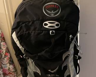 Osprey Talon 22 hiking backpack
