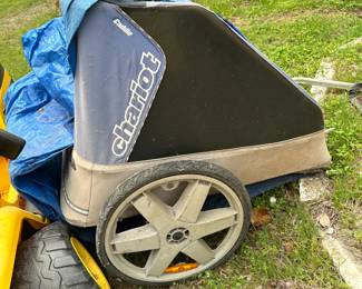 Chariot bike carrier (needs a car wash too)