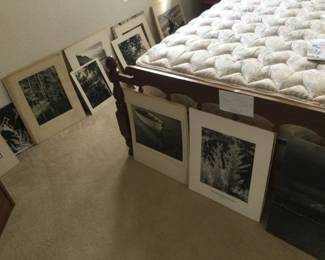 Black & white photos.