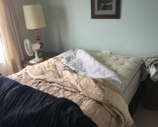 Queen size bed/frame, side table, lamp.