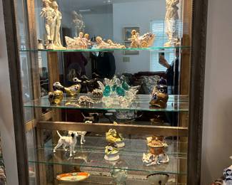 Glass curio cabinet including unique items