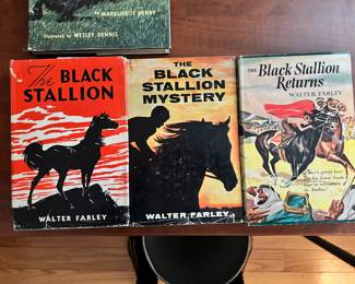 The Black Stallion Series 