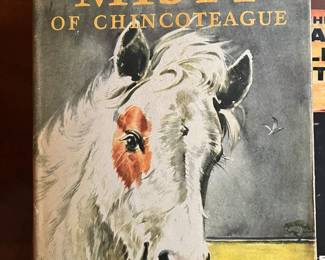 Misty the Chincoteague