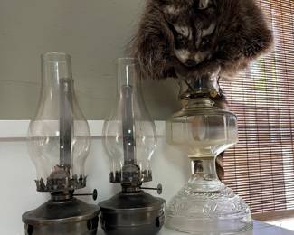 Oil lamps and coon skin hat