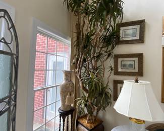 #15 - $150 Large plant 8'H