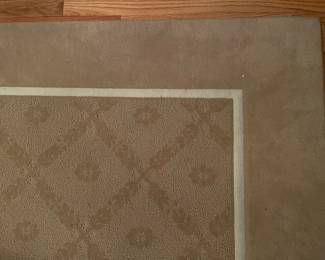 Additional view of pattern of the beige area rug ~