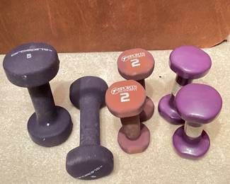 Six (6) Bundle Misc. Hand Weights, was $12, NOW $9