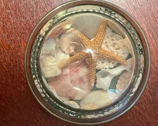 Shell Paper Weight, was $10, NOW $7