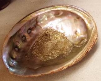 Abalone shell