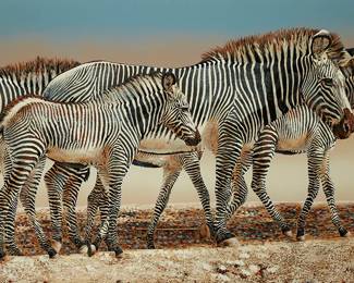 3408
Anderson Design Group
Untitled, zebras
Giclee in colors on canvas
Unsigned
40" H x 60" W
Estimate: $200 - $300