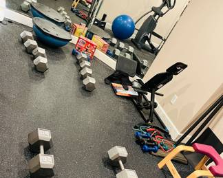 Large variety of weights and other gym equipment 