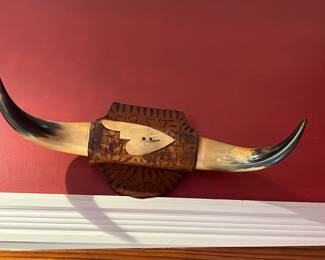 Bull horns