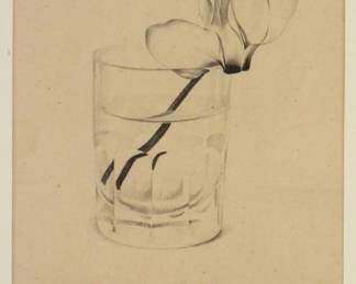 Italo Passani Still Life Illustration Drawing