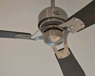 HUNTER ceiling  fan