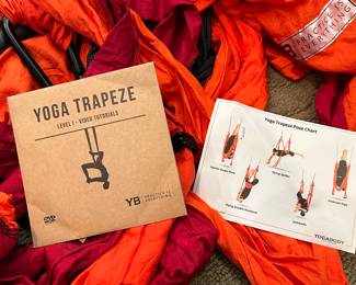Aerial yoga trapeze