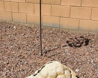 Large solid cement turtle