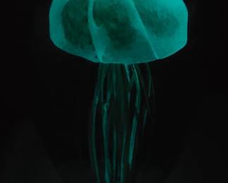 The jelly fish In the glass paperweight glows in the dark