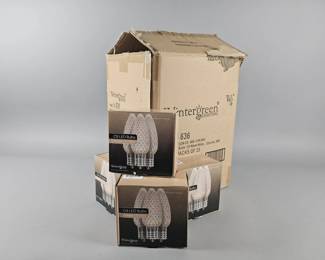 Lot 488 | 1 Box Warm White C9 LED Bulbs & More!