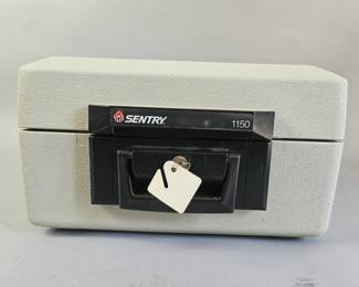 Lot 452 | Sentry Safe