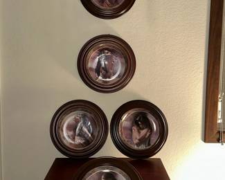 Lot Of 5 Native Beauty Collectible Plates