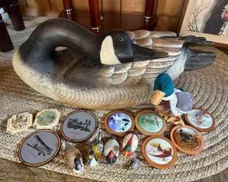 Ducks And Bird Friends Lot