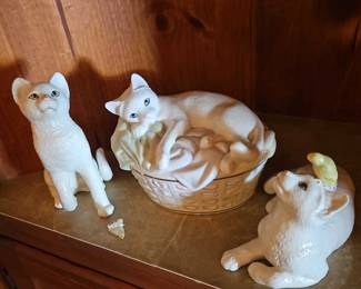 White Playful Kitty Cats