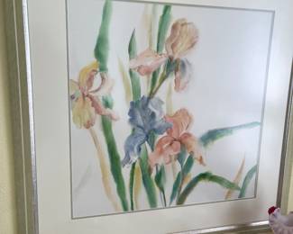 Iris watercolor