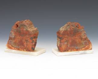 Prehistoric Petrified Agatized Wood Bookends, Arizona 