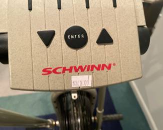 Schwinn Airdyne Exercise Bike