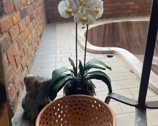Faux Orchids, Primitive Clay Colander