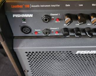 Fishman Loudbox 100, model PRO-LBX-400