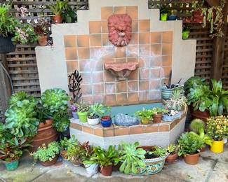 Several small plants